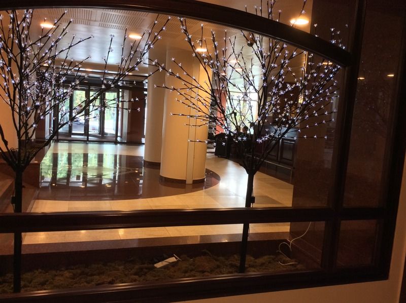 Hotel Rapsodia City Center Botosani Exterior photo